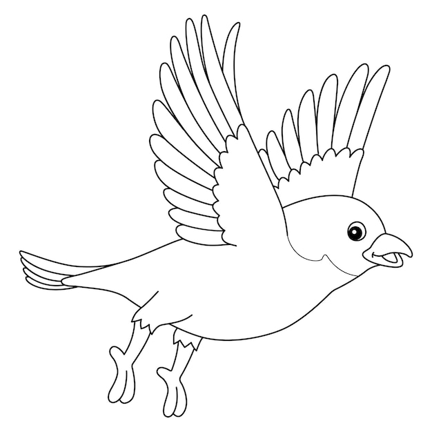 Premium vector bluebird animal isolated coloring page for kids