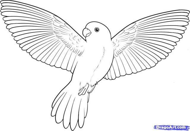 Exclusive picture of bird coloring pages