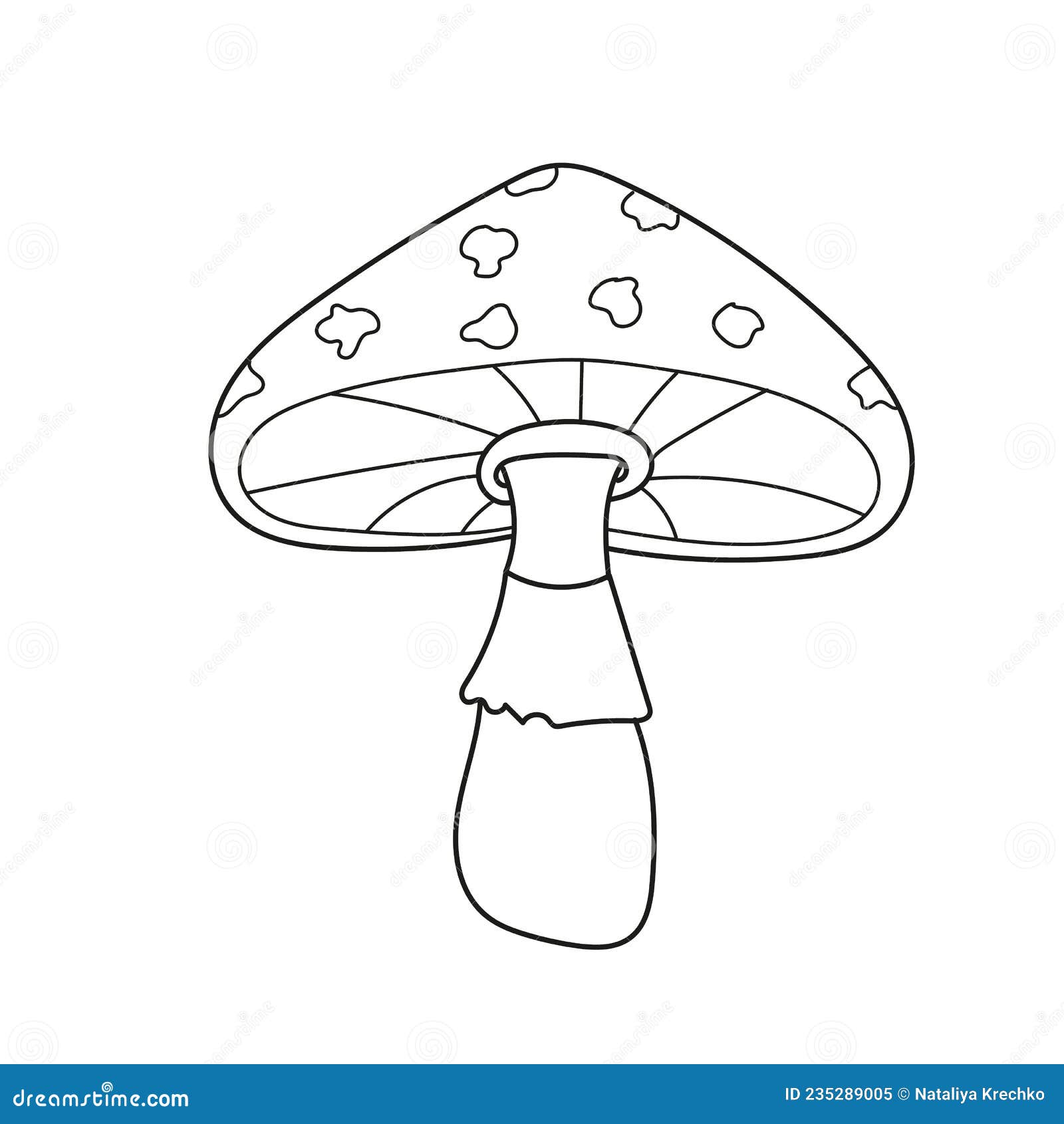 Simple coloring page coloring book page template with fly agaric mushroom stock vector