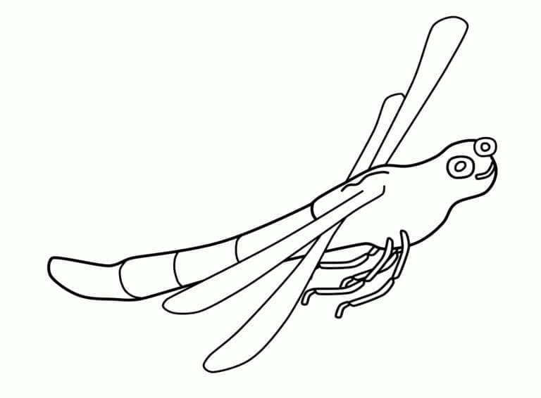 Funny dragonfly is flying coloring page