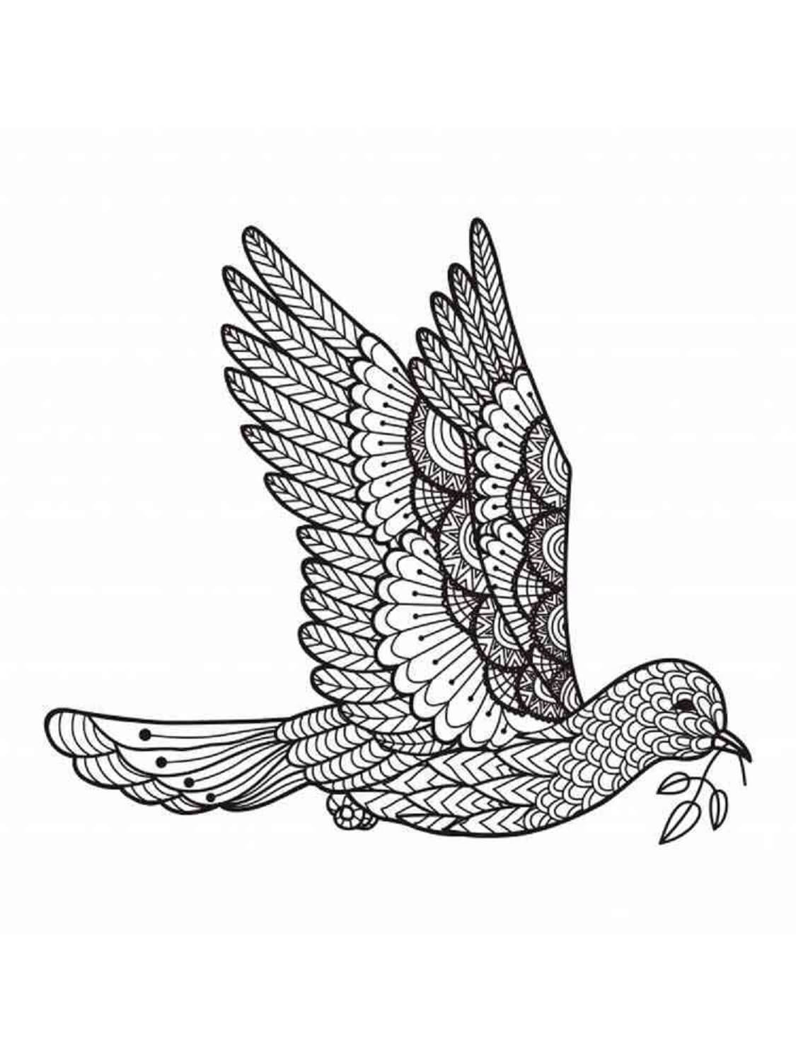 Basic pigeon flying mandala coloring page