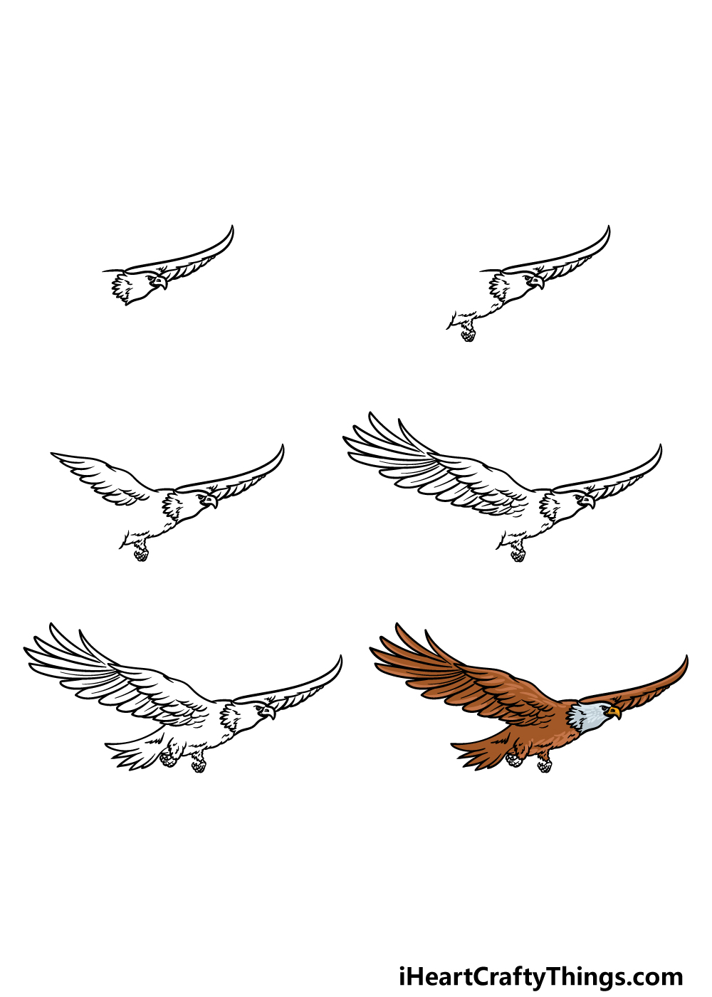 Flying eagle drawing