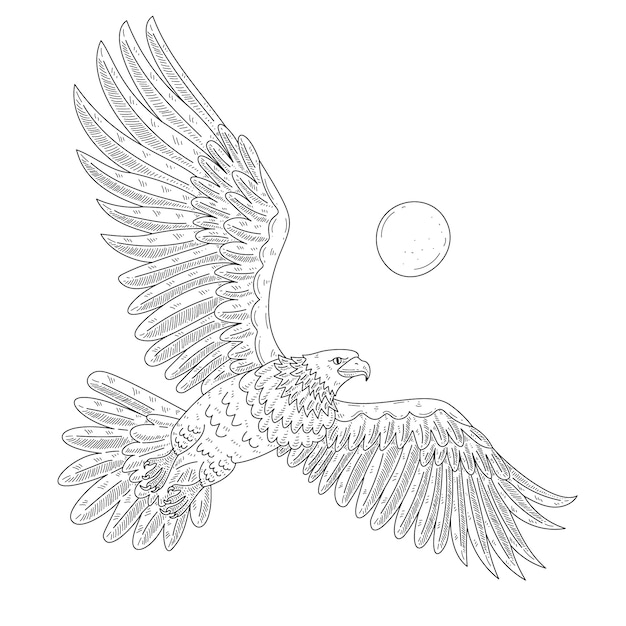 Free vector hand drawn eagle flying drawing illustration