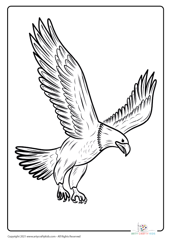 Bird coloring pages