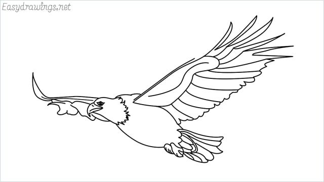 How to draw an eagle flying step by step for beginners eagle drawing easy fly drawing eagle drawing