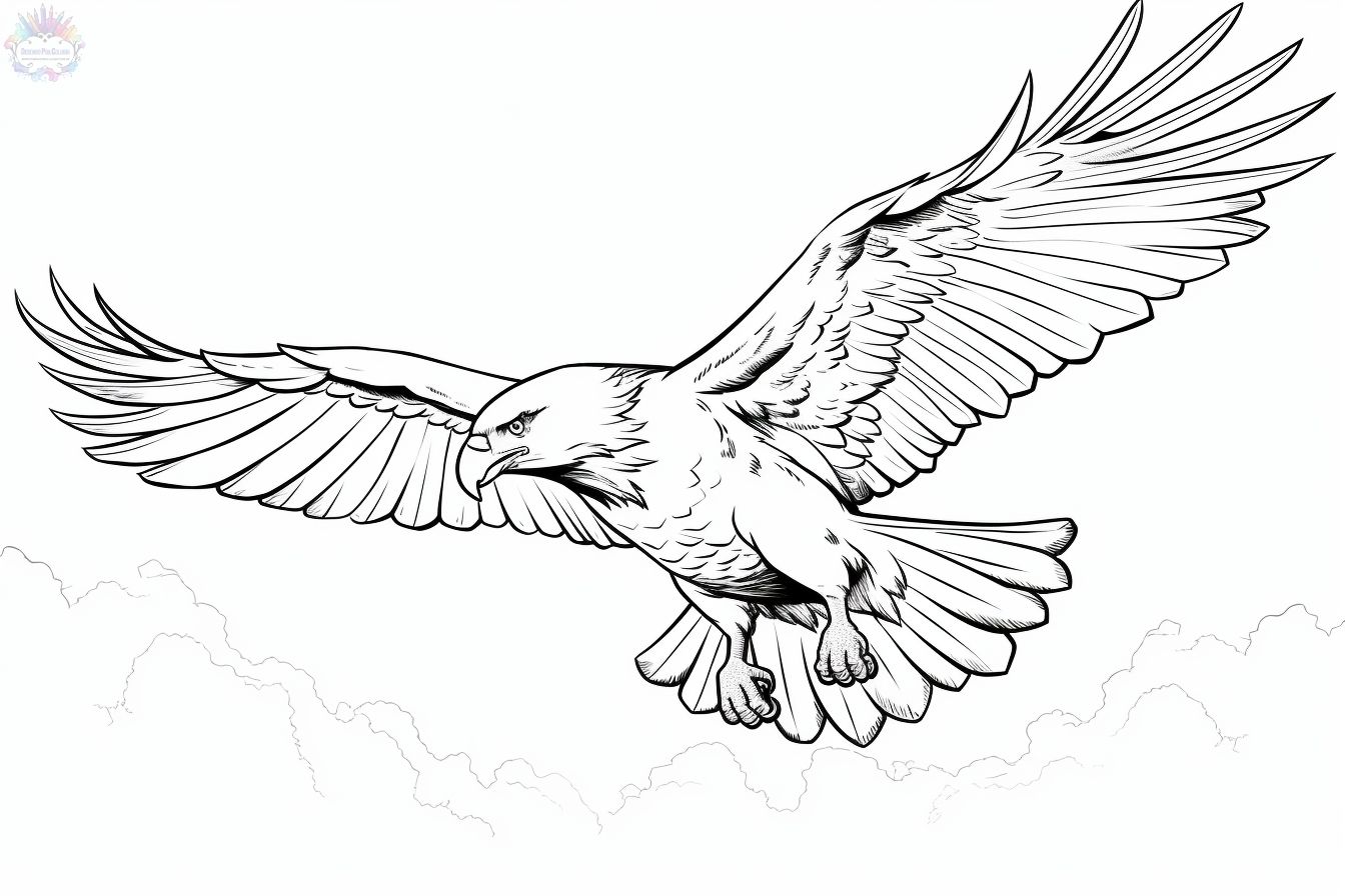 Bird coloring pages
