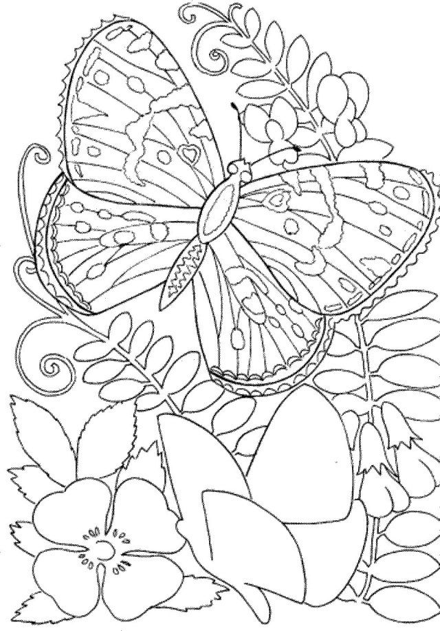 Elegant picture of free printable coloring pages adults only