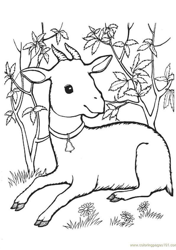 Coloring pages sitting goat coloring pages