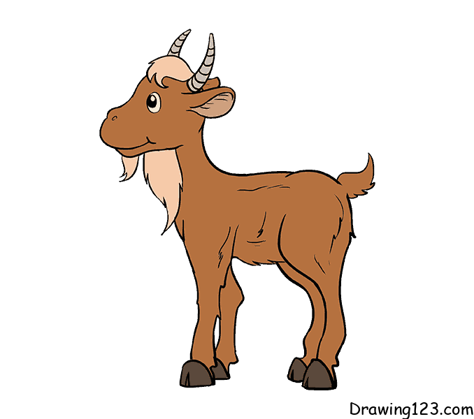 Goat drawing tutorial