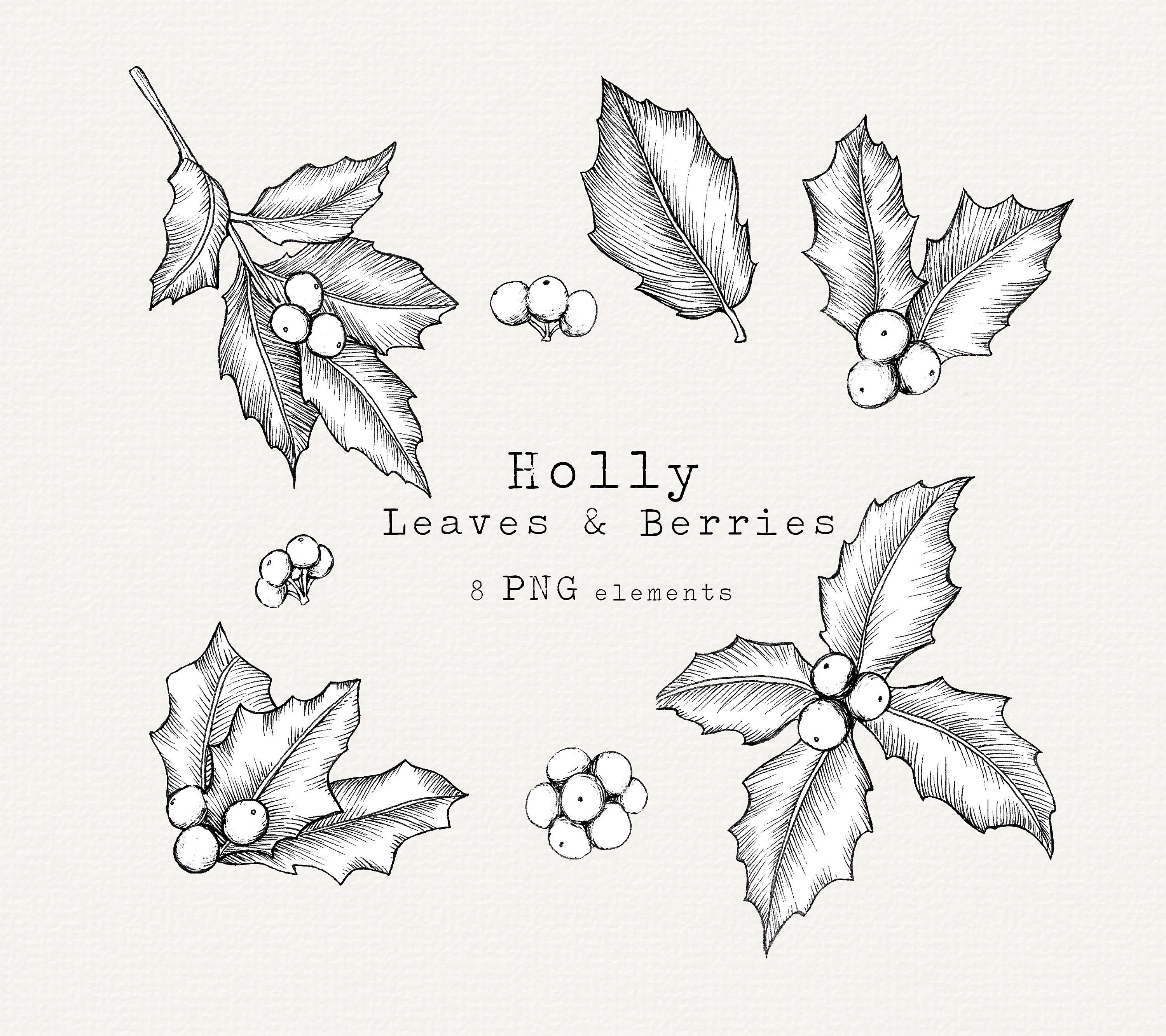 Holly leaves clip art christmas line art holly botanical line art christmas greenery line drawing vintage illustration mercial use