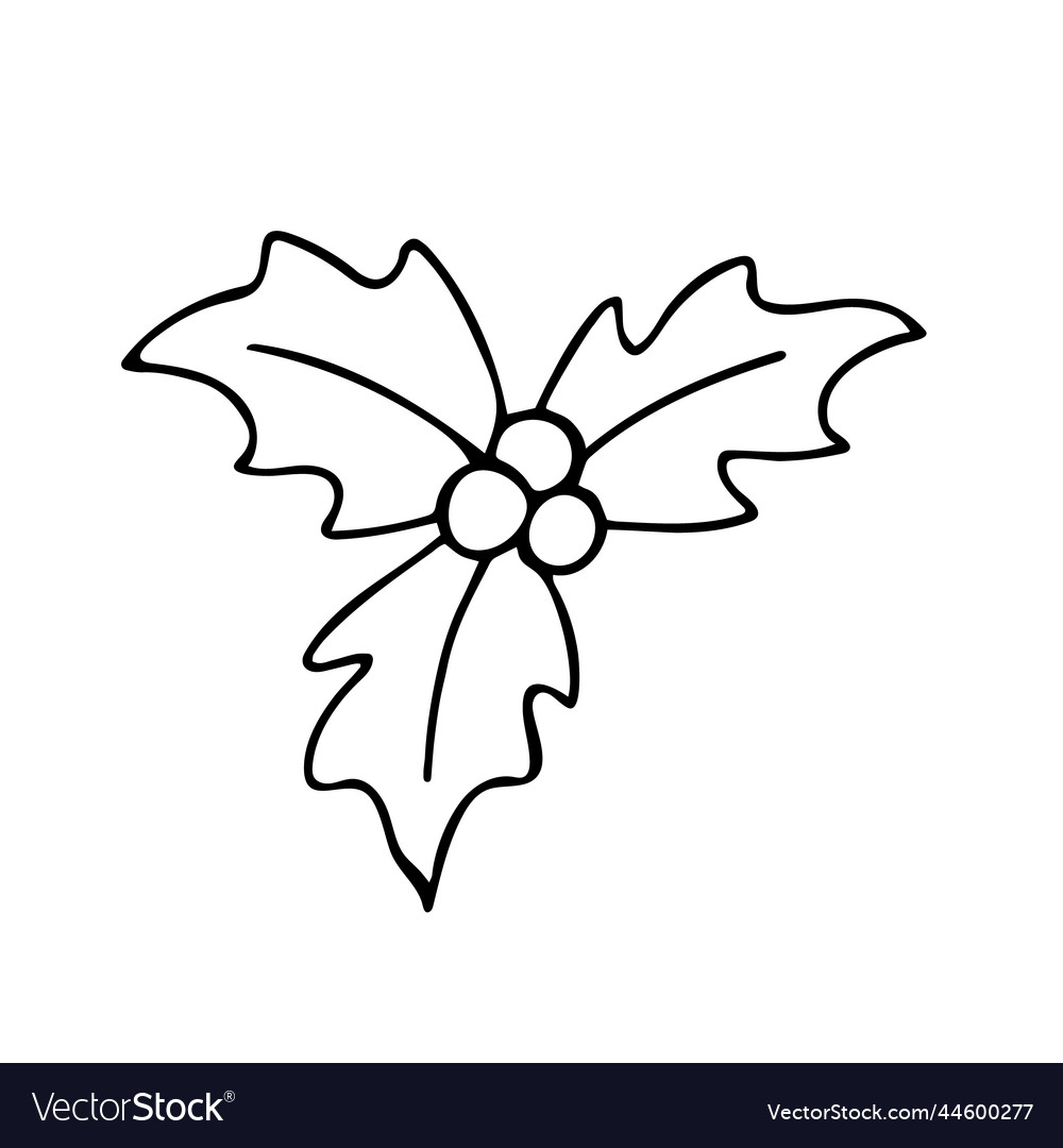 Doodle of holly leaves and berries royalty free vector image