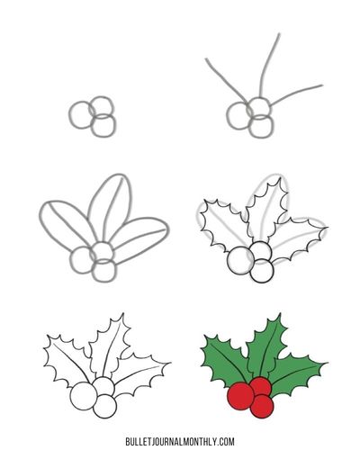 How to draw holly leaves