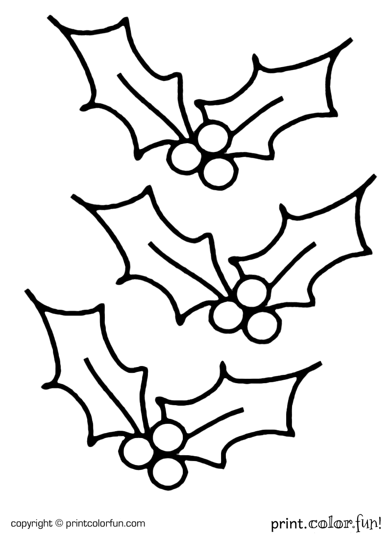Free printable holly coloring page