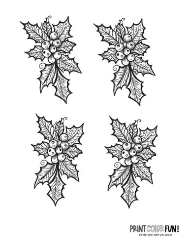 Holly clipart coloring pages for festive christmas crafting fun at