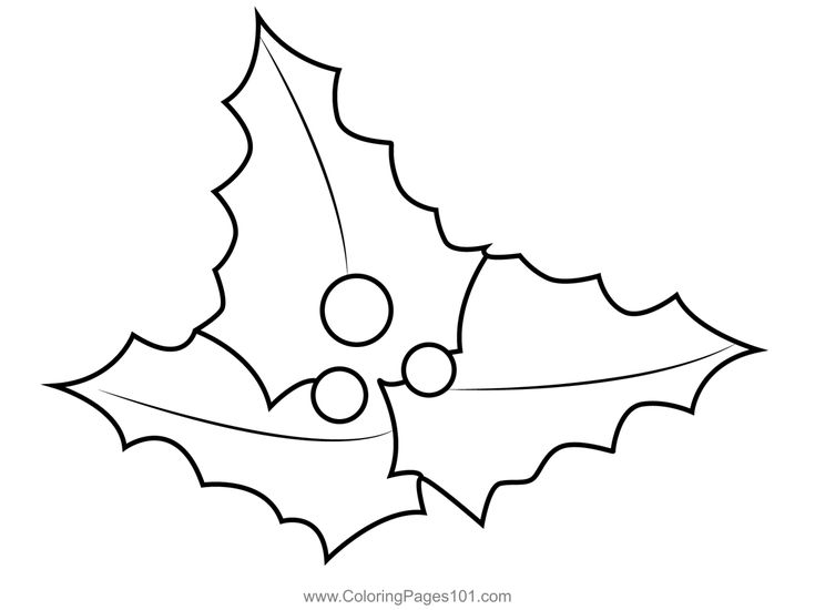 Holly leaves coloring page leaf coloring page leaf coloring coloring pages