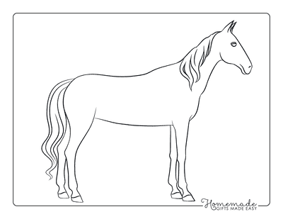 Best horse coloring pages for kids adults free printables