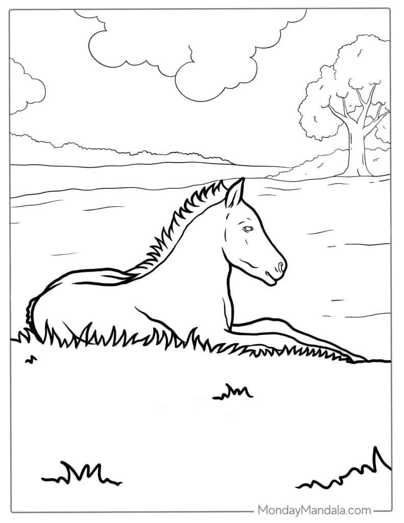 Horse coloring pages free pdf printables