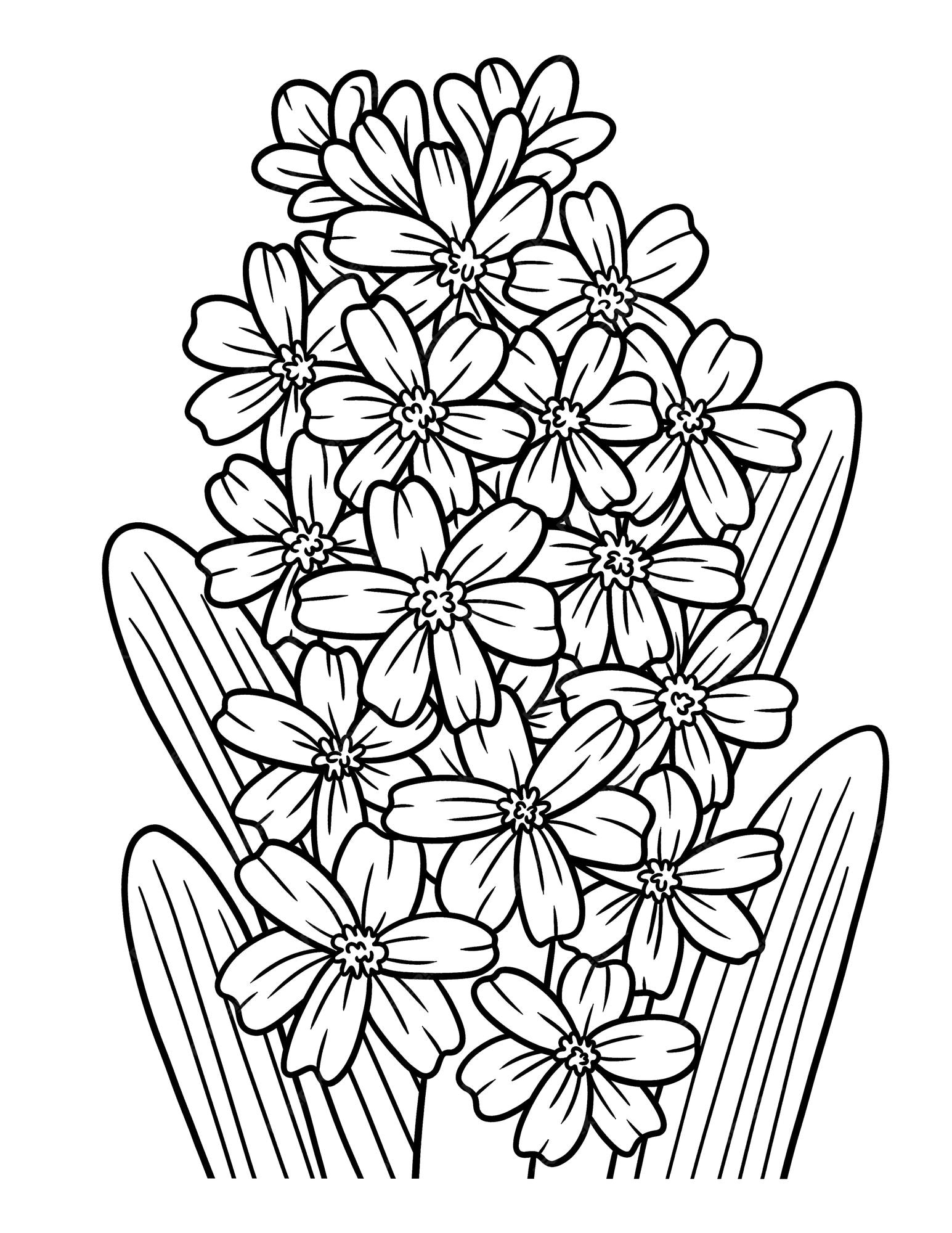 Premium vector hyacinth flower coloring page for adults