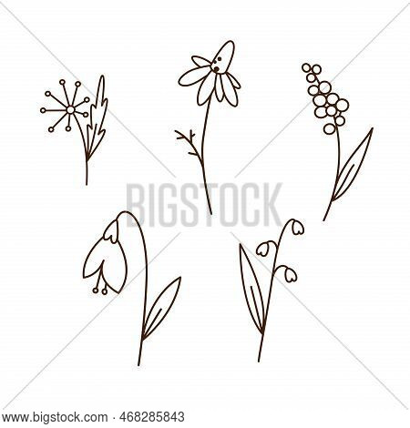 Spring flowers doodle vector photo free trial bigstock