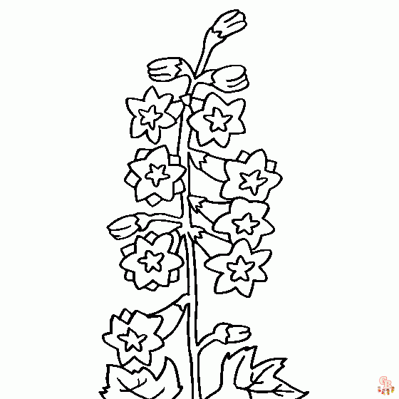 Delphinium coloring pages unleash your creativity