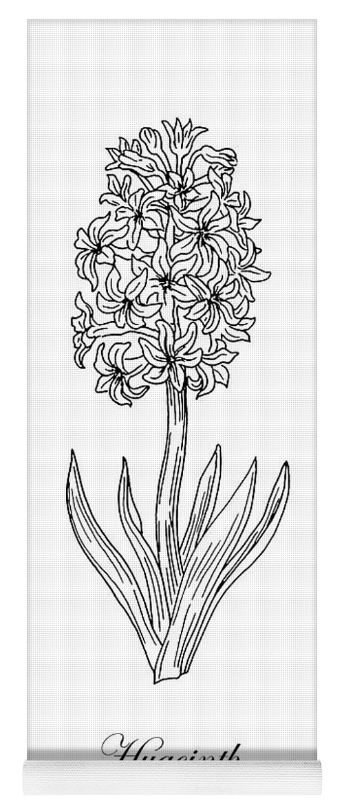 Hyacinth flower botanical drawing black and white yoga mat by irina sztukowski