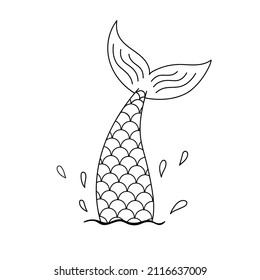 Mermaid tail outline images stock photos d objects vectors