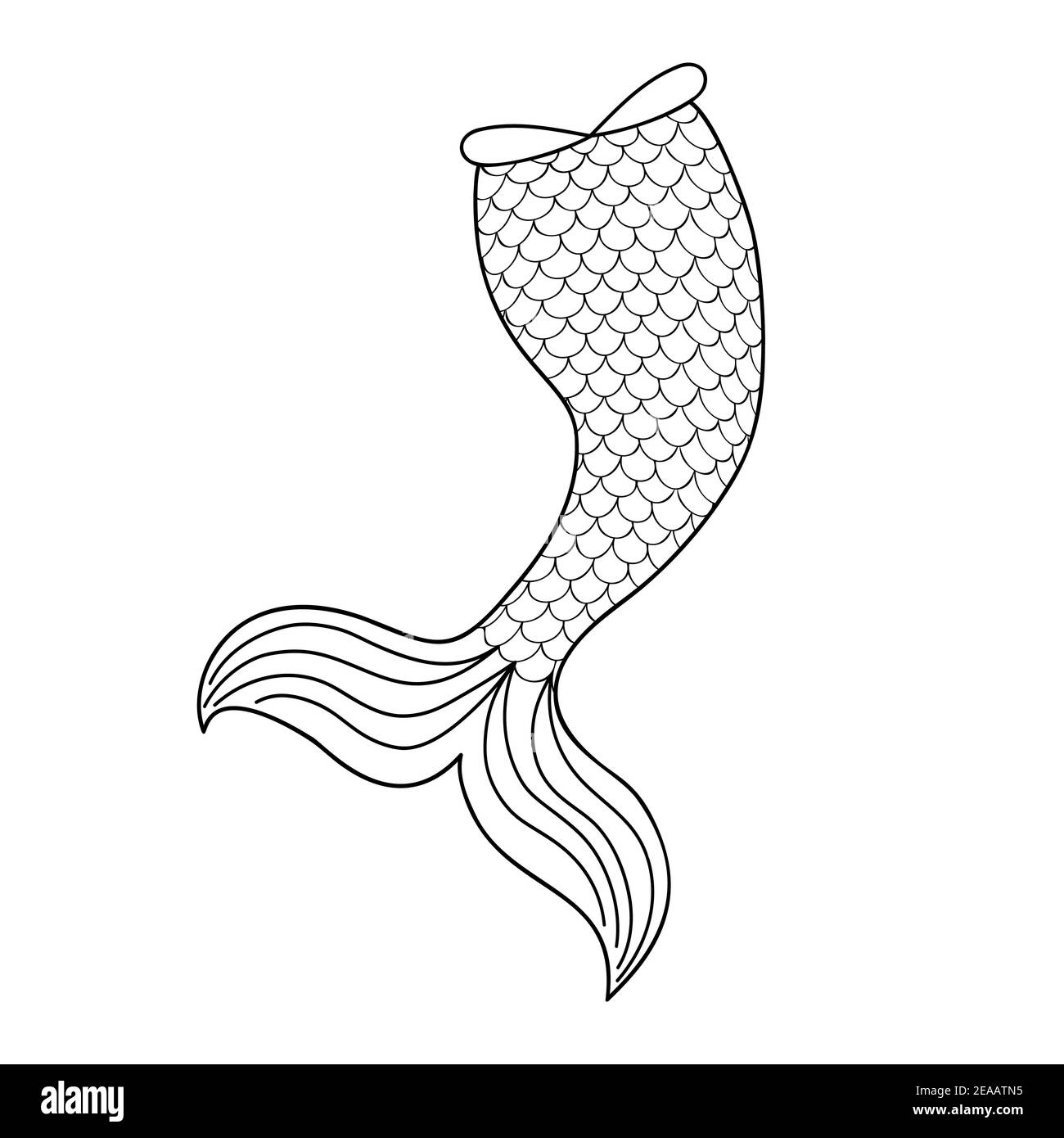 Mermaid tail cut out stock images pictures