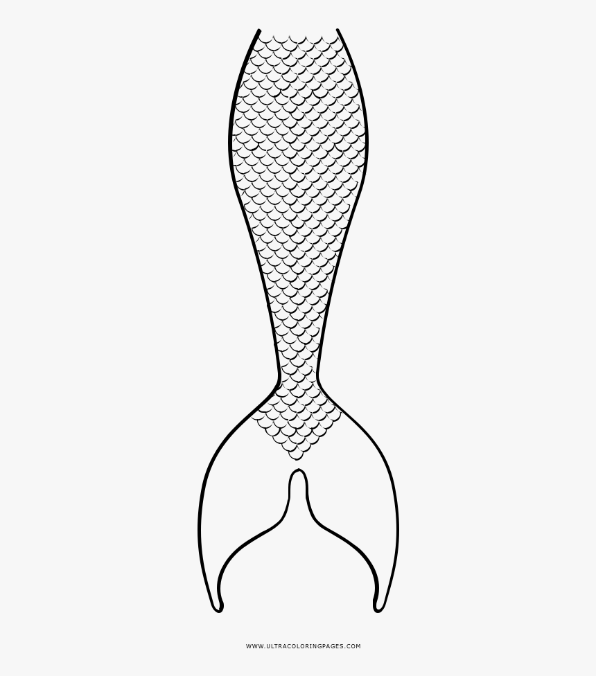 Mermaid tail coloring page