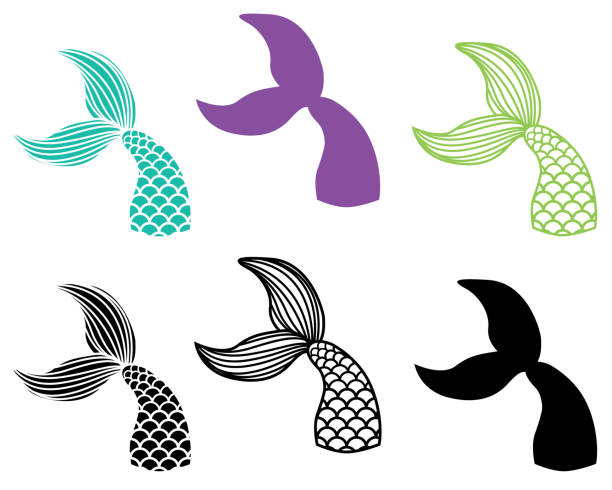 Mermaid tail stock illustrations royalty