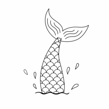 Mermaid drawing images â browse photos vectors and video