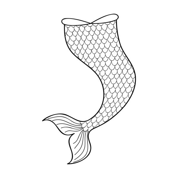 Mermaid tail stock illustrations royalty