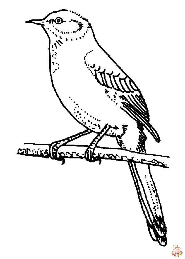 Keep the kids busy with bird coloring pages