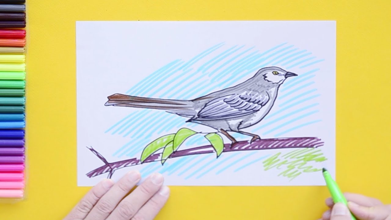 How to draw mockingbird