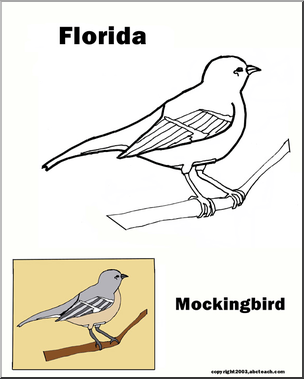 Florida state bird