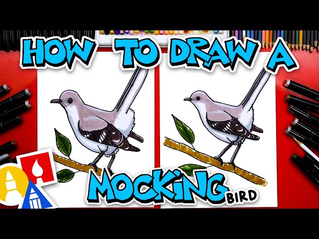 How to draw a ockingbird