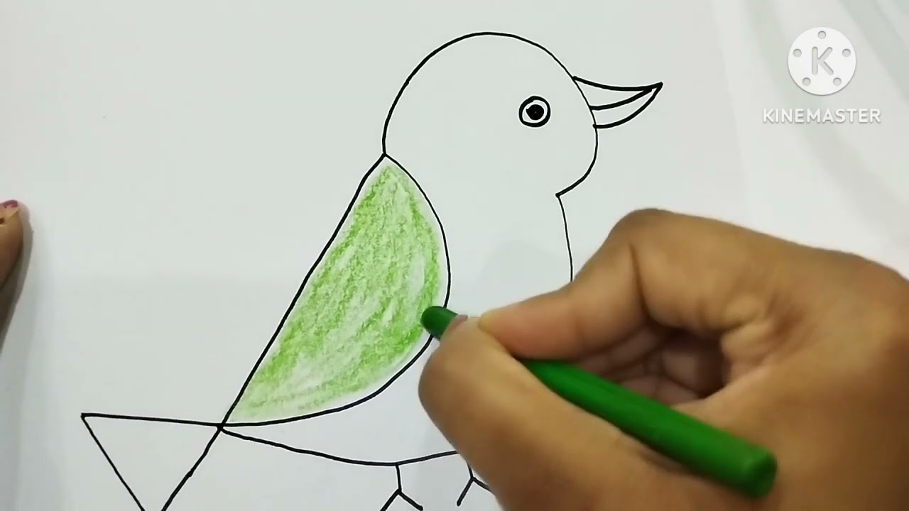 Bird pages