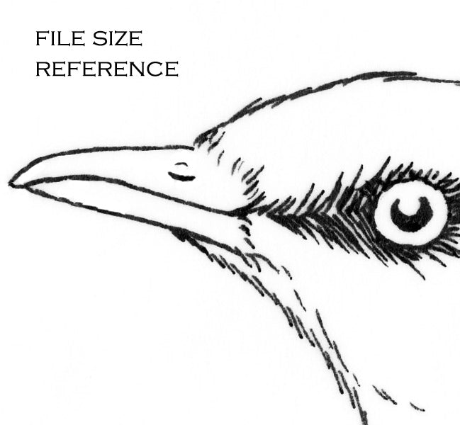 Digital file