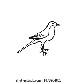 Humming birds coloring pages photos and images