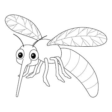 Premium vector mosquito animal isolated coloring page for kids