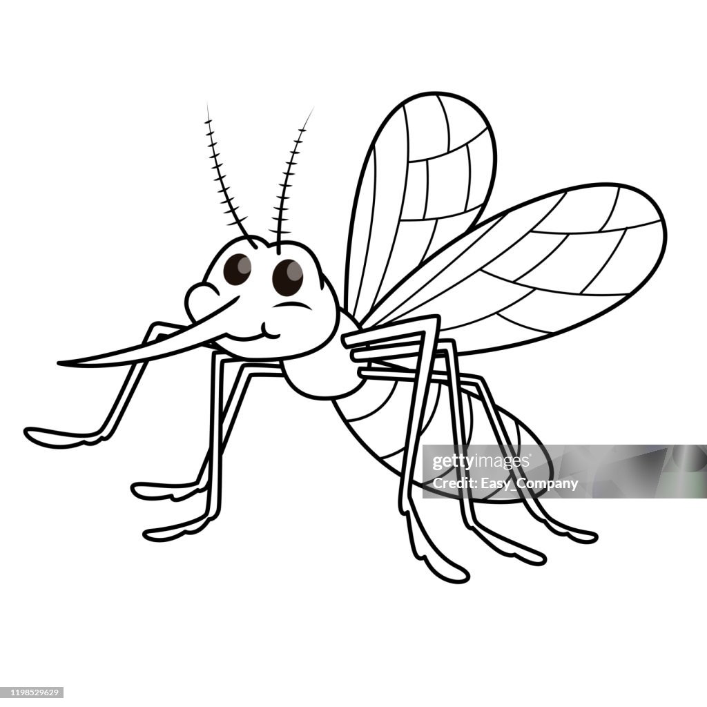 Vector illustration of mosquito isolated on white background for kids coloring book high