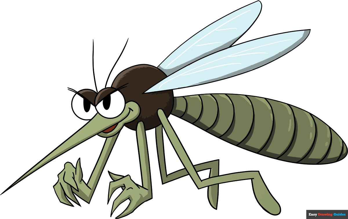 How to draw a mosquito