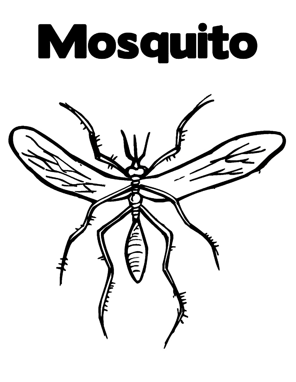 Free printable mosquito coloring pages for kids
