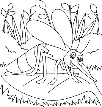 Mosquito drawing png transparent images free download vector files