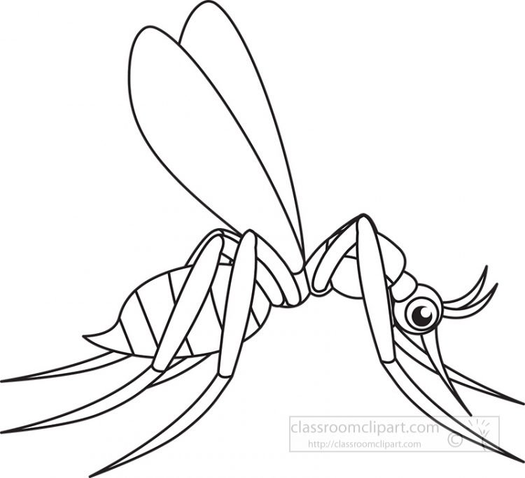 Animal outline clipart