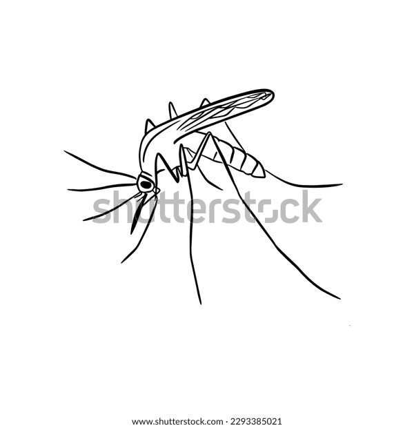 Mosquito drawing images stock photos d objects vectors