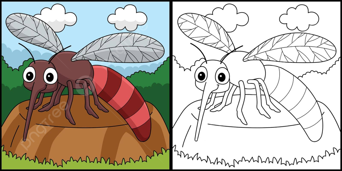Mosquito drawing png transparent images free download vector files