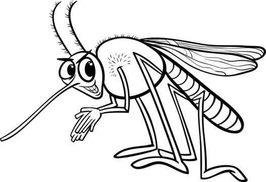 Mosquito clipart images â browse photos vectors and video