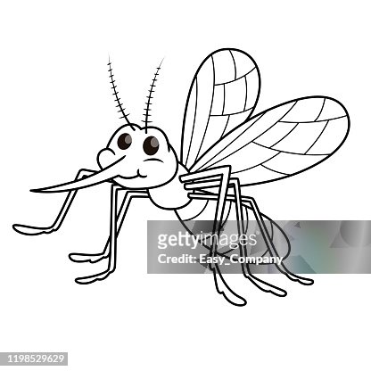 Vector illustration of mosquito isolated on white background for kids coloring book high