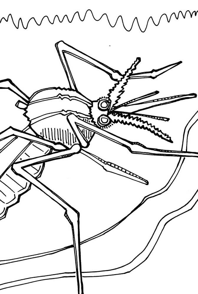 Basic drawing mosquito coloring page