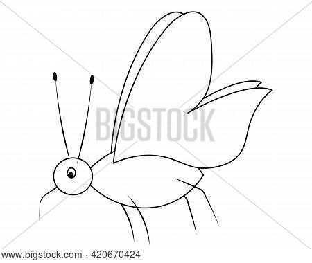 Mosquito sketch vector photo free trial bigstock
